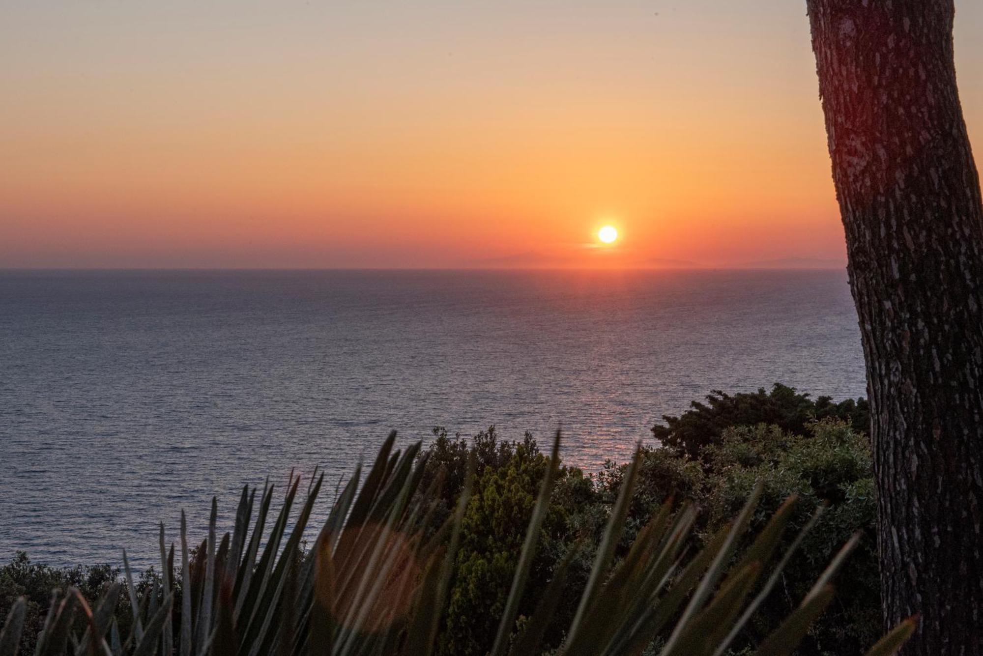 Hotel Boutique Torre Di Cala Piccola